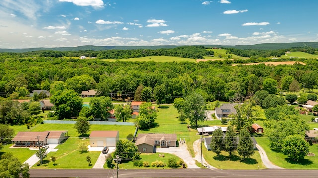 aerial view