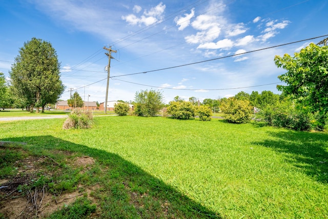 view of yard