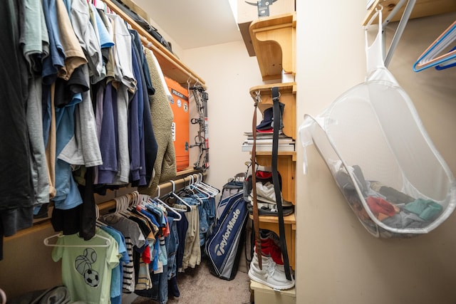 spacious closet featuring carpet floors