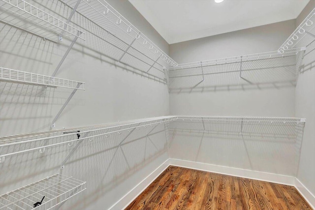 spacious closet featuring wood finished floors