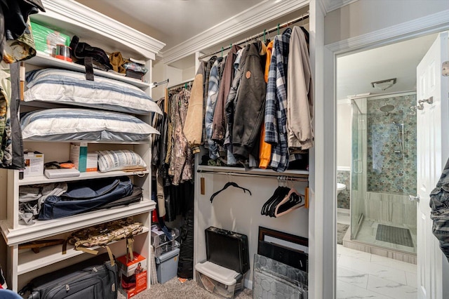 view of spacious closet