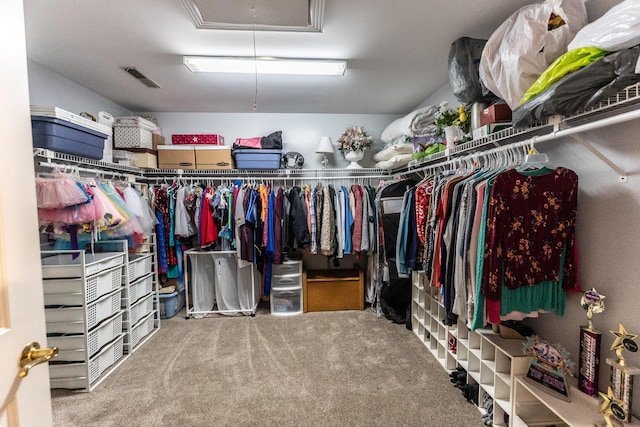 walk in closet featuring visible vents, attic access, and carpet