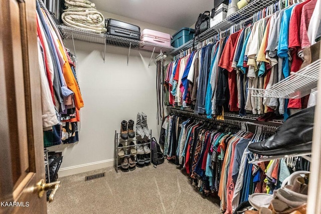 walk in closet with visible vents and carpet