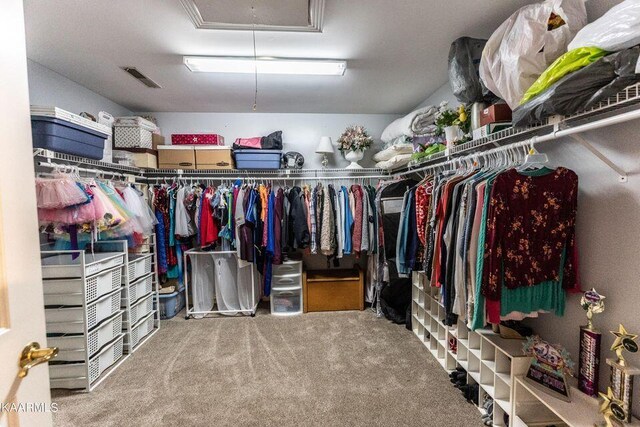 spacious closet with attic access, visible vents, and carpet floors