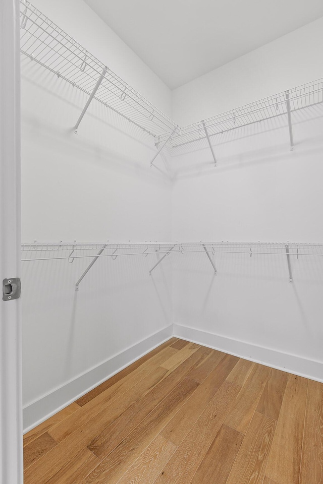 walk in closet featuring light wood-style flooring