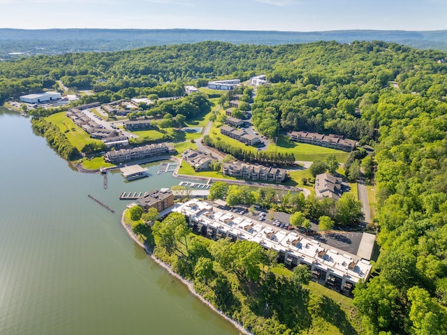 bird's eye view with a water view and a wooded view