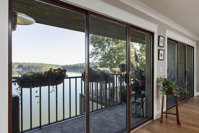 doorway featuring a water view and dark hardwood / wood-style floors