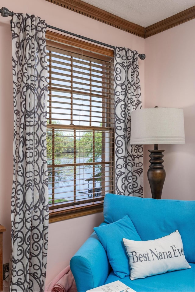 sitting room with ornamental molding and a textured ceiling