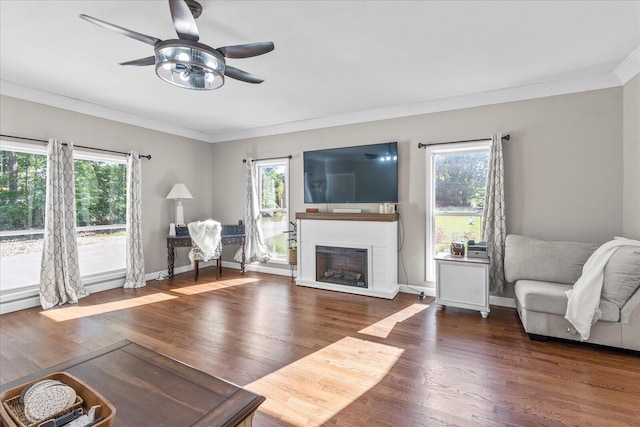 living room with a wealth of natural light, ceiling fan, and dark hardwood / wood-style flooring