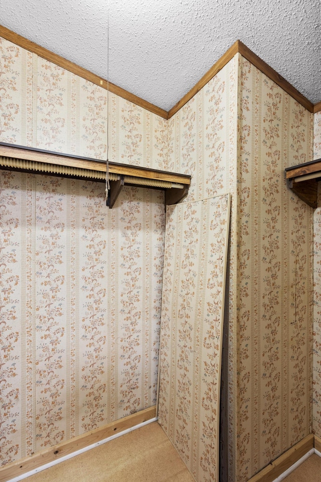 walk in closet featuring light carpet