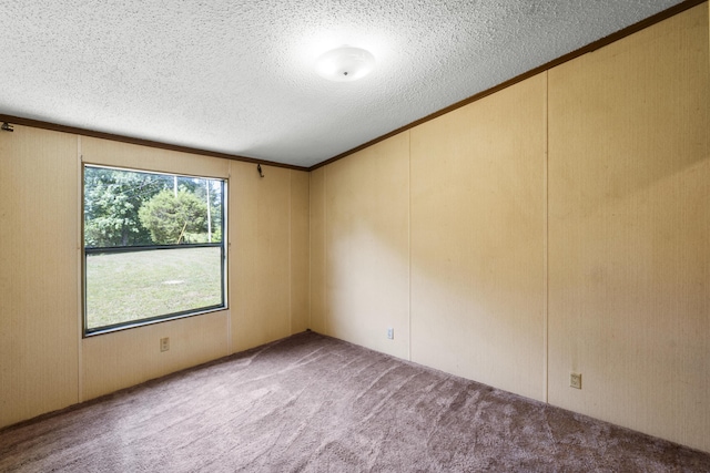 empty room with ornamental molding, carpet floors, a decorative wall, and a textured ceiling