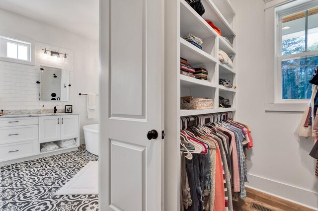 spacious closet with sink