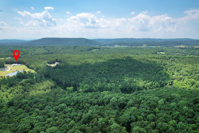 birds eye view of property featuring a mountain view