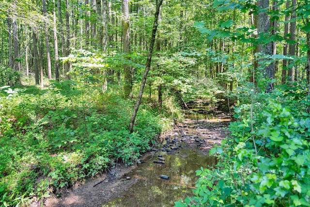 view of landscape