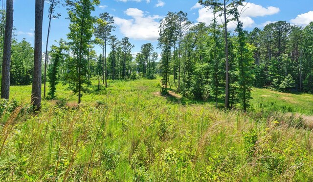 view of local wilderness