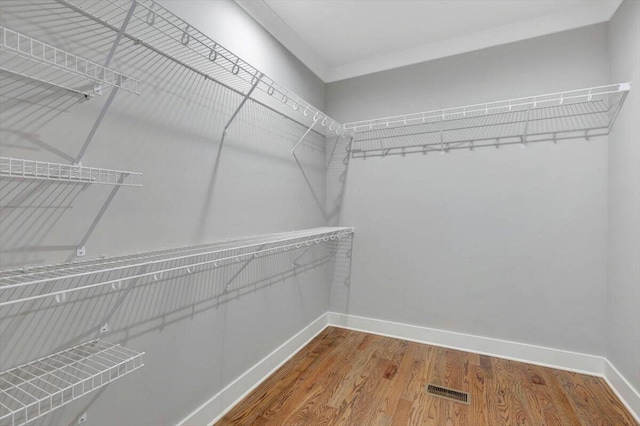 walk in closet featuring visible vents and wood finished floors