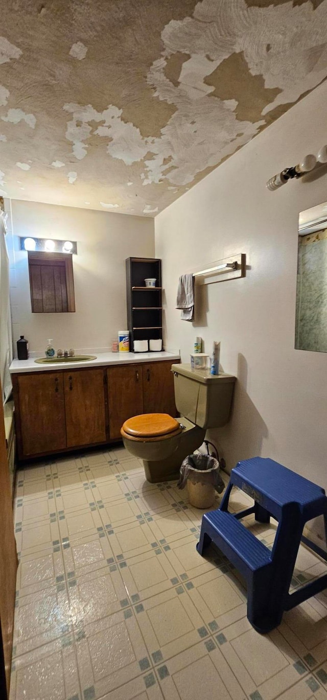 interior space with vanity and toilet