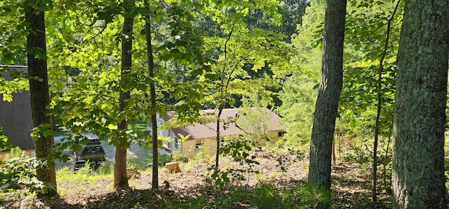 view of local wilderness