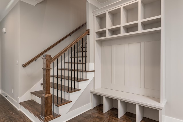 mudroom featuring dark hardwood / wood-style flooring