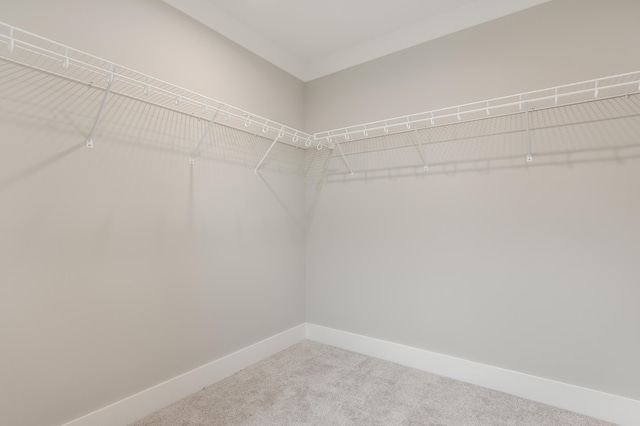 spacious closet with carpet floors