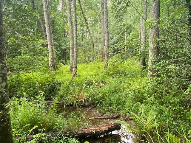 view of landscape