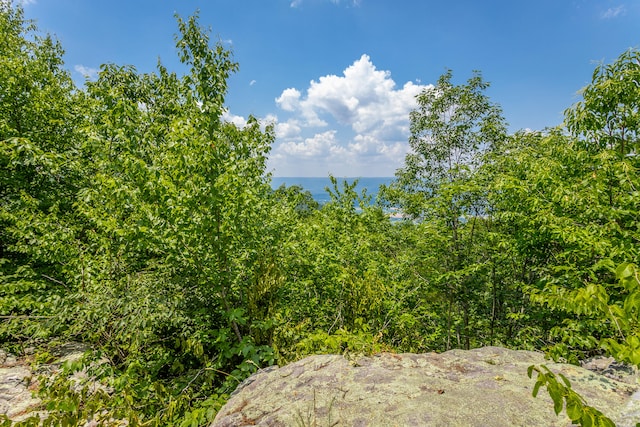 view of nature featuring a water view