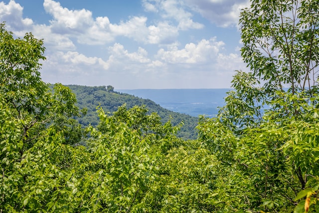 property view of mountains with a water view