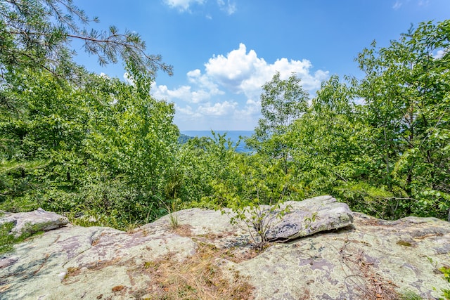 view of landscape featuring a water view