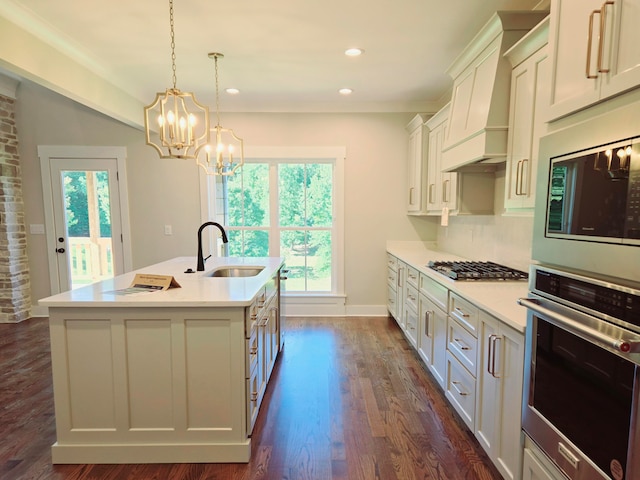 kitchen with premium range hood, appliances with stainless steel finishes, a kitchen island with sink, sink, and a wealth of natural light