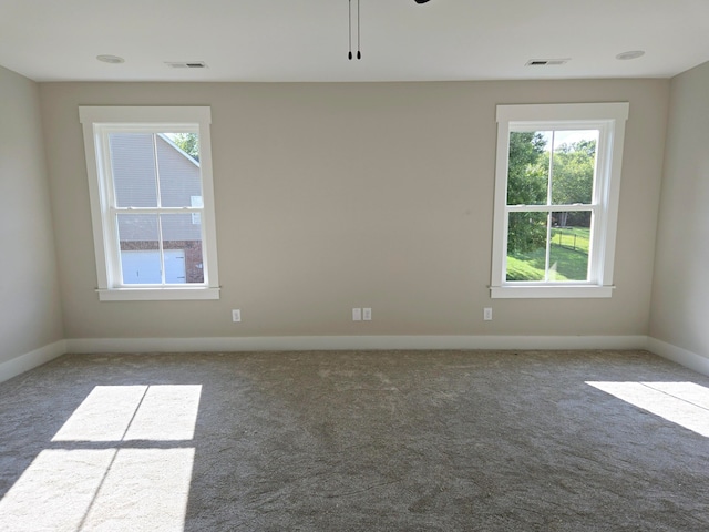 carpeted empty room with a wealth of natural light