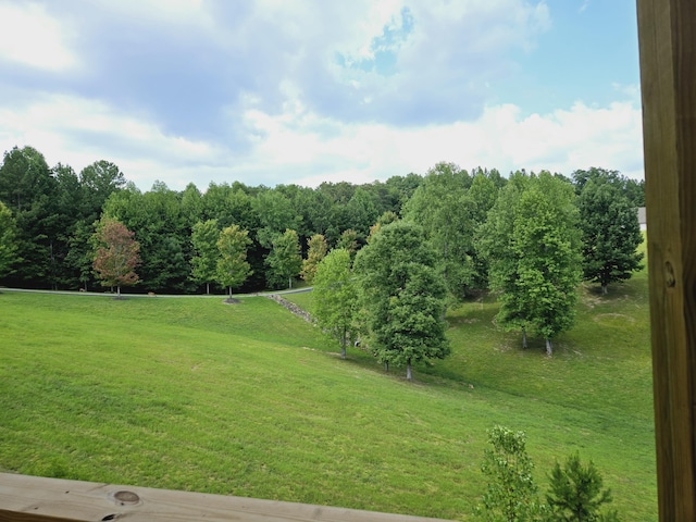 13309 Blakeslee Dr Unit 57, Soddy Daisy, TN 37379 - photo 41