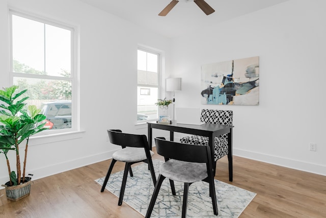 dining area with ceiling fan and light hardwood / wood-style flooring