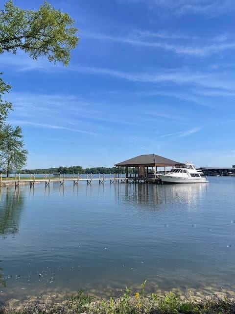 dock area with a water view