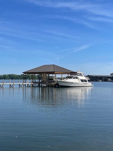 dock area with a water view