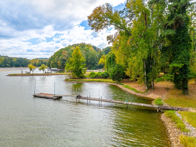 property view of water with a dock