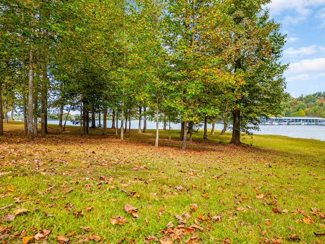 view of yard featuring a water view