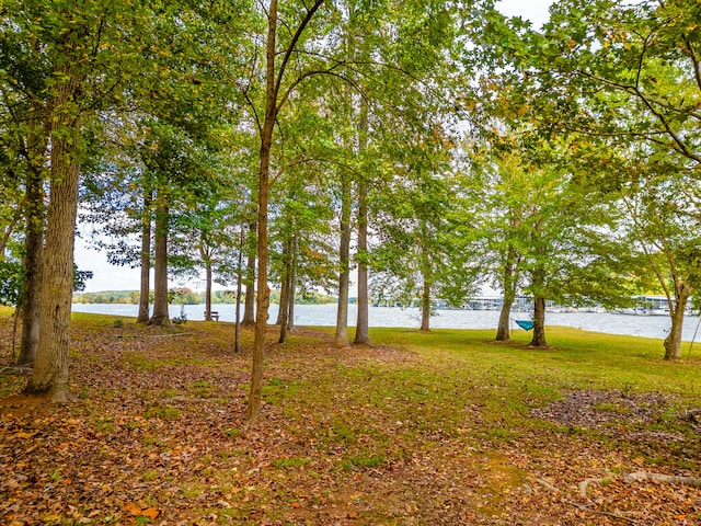 view of yard with a water view