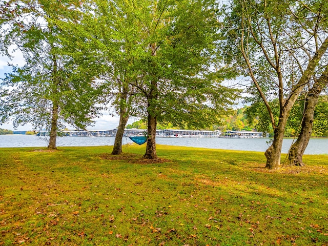 6591 Chipmunk Dr, Harrison, TN 37341 - view of yard with a water view
