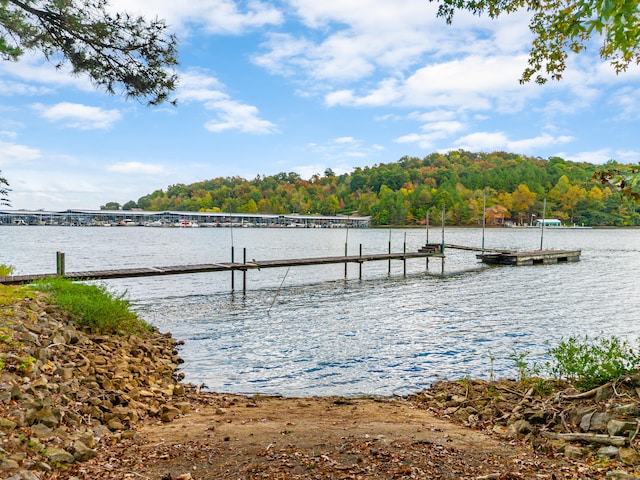 dock area featuring a water view