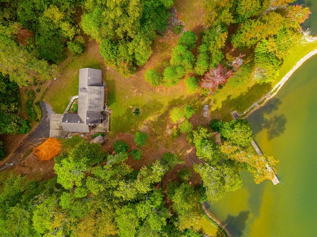 6591 Chipmunk Dr, Harrison, TN 37341 - aerial view