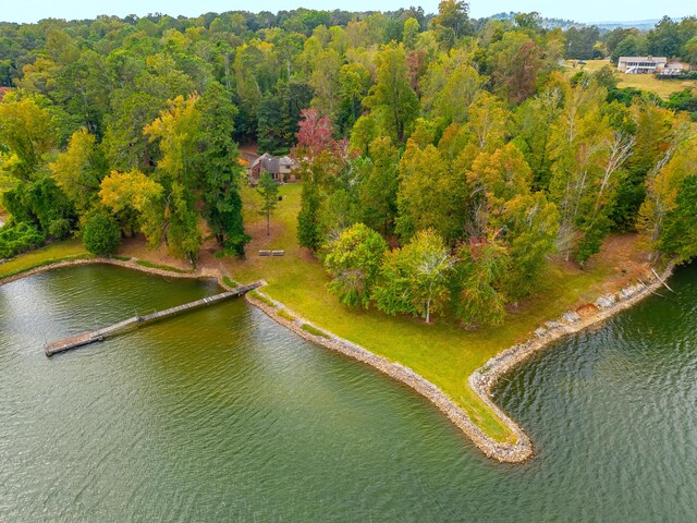 6591 Chipmunk Dr, Harrison, TN 37341 - bird's eye view with a water view