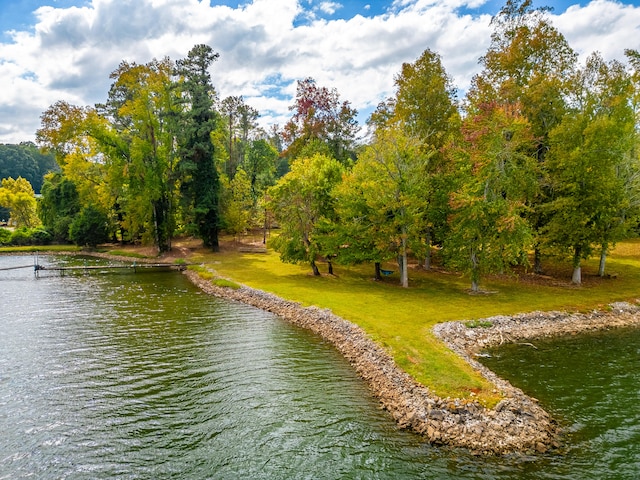 view of home's community featuring a water view and a lawn