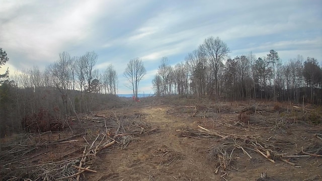 view of local wilderness