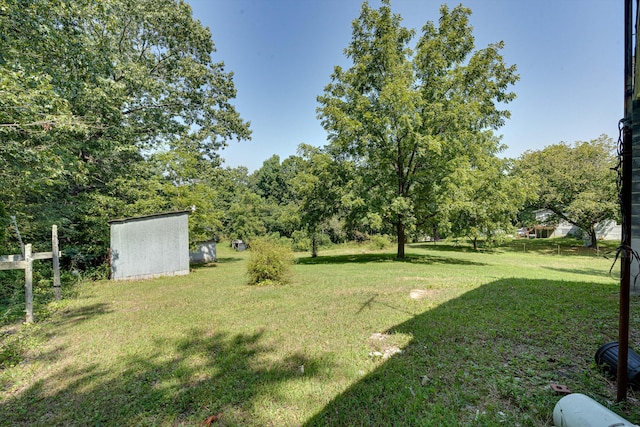 view of yard with a shed