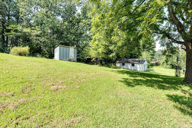 view of yard with a storage shed