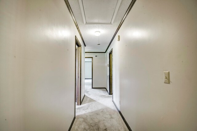 hallway with crown molding, a textured ceiling, and light colored carpet