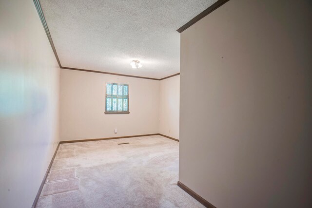 carpeted empty room with crown molding and a textured ceiling