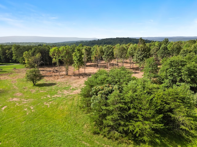 bird's eye view featuring a rural view