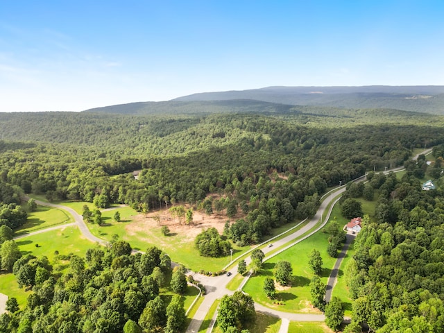 birds eye view of property with a mountain view