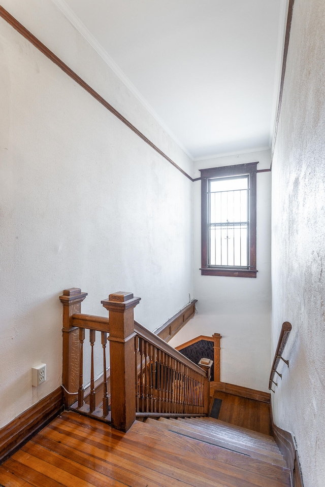 stairway featuring wood-type flooring and crown molding